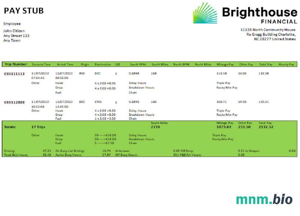 USA Brighthouse Financial financial company
